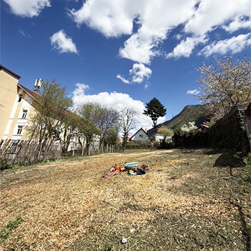Defrișări terenuri și tocarea vegetației